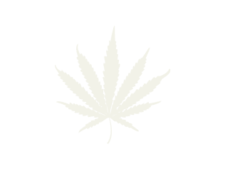 Tilray Craft THC25 BCR Beach Crasher image